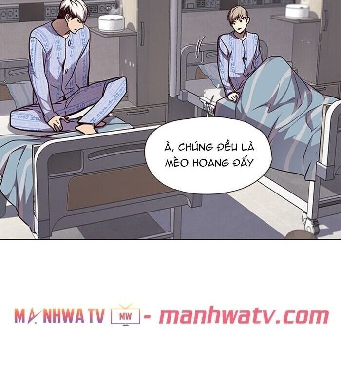 Hoá Thân Thành Mèo - Chapter 46 - Page 54