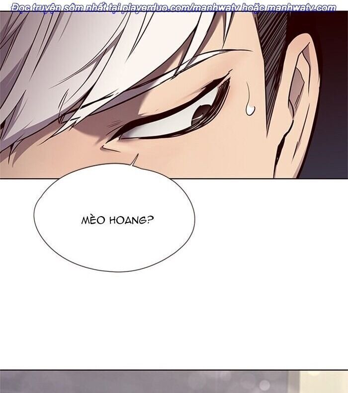 Hoá Thân Thành Mèo - Chapter 46 - Page 55