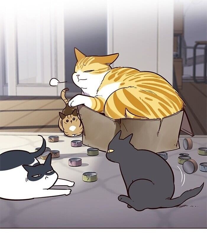 Hoá Thân Thành Mèo - Chapter 46 - Page 98