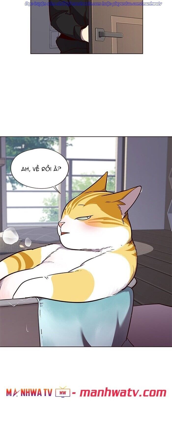 Hoá Thân Thành Mèo - Chapter 47 - Page 26