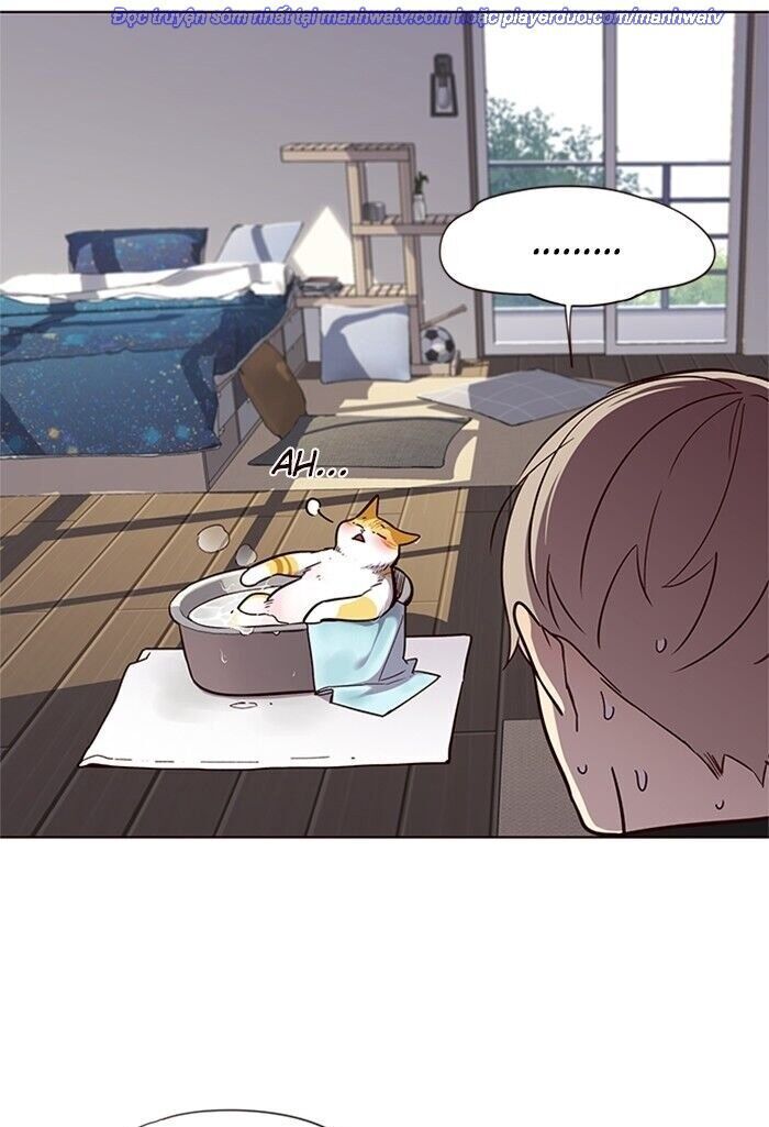 Hoá Thân Thành Mèo - Chapter 47 - Page 27