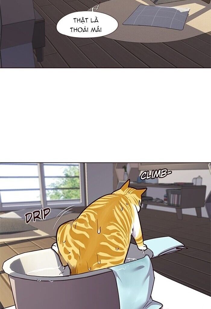 Hoá Thân Thành Mèo - Chapter 47 - Page 30