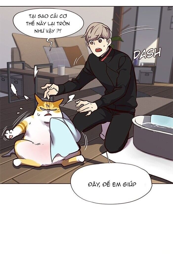Hoá Thân Thành Mèo - Chapter 47 - Page 32