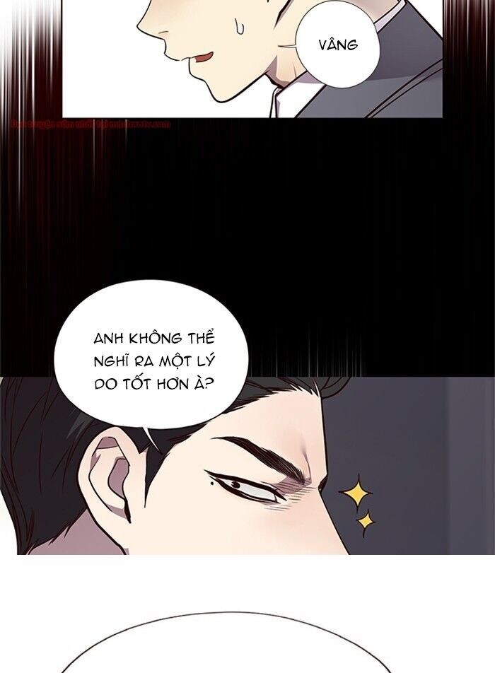 Hoá Thân Thành Mèo - Chapter 48 - Page 13