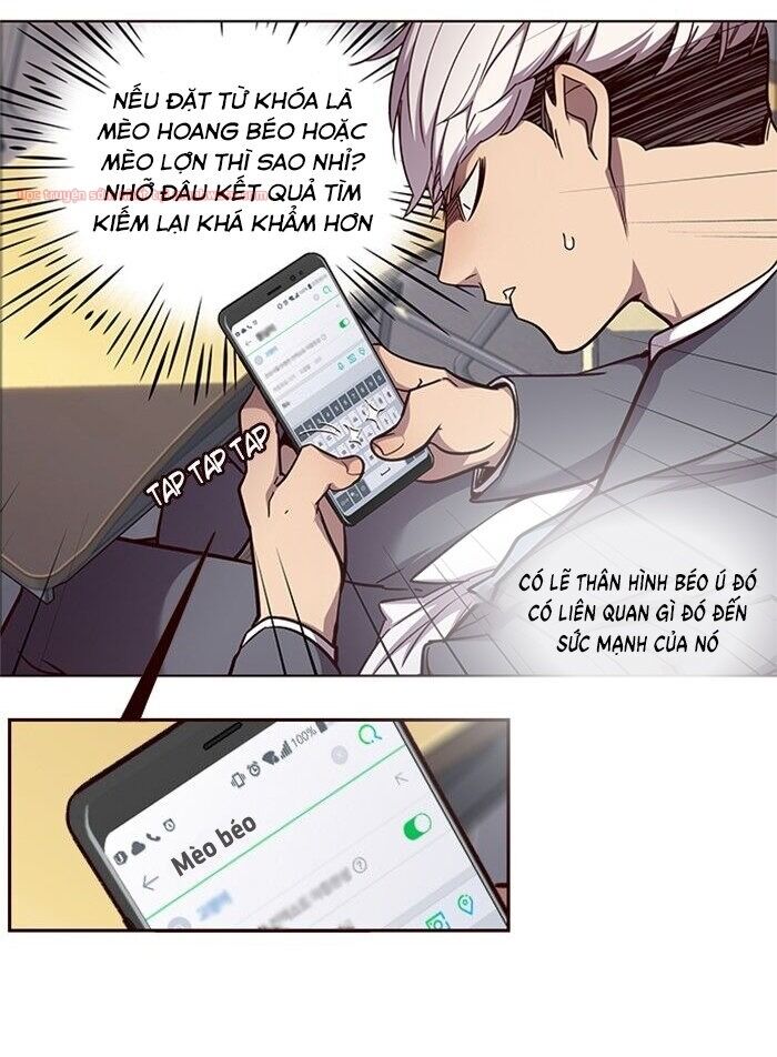 Hoá Thân Thành Mèo - Chapter 48 - Page 16