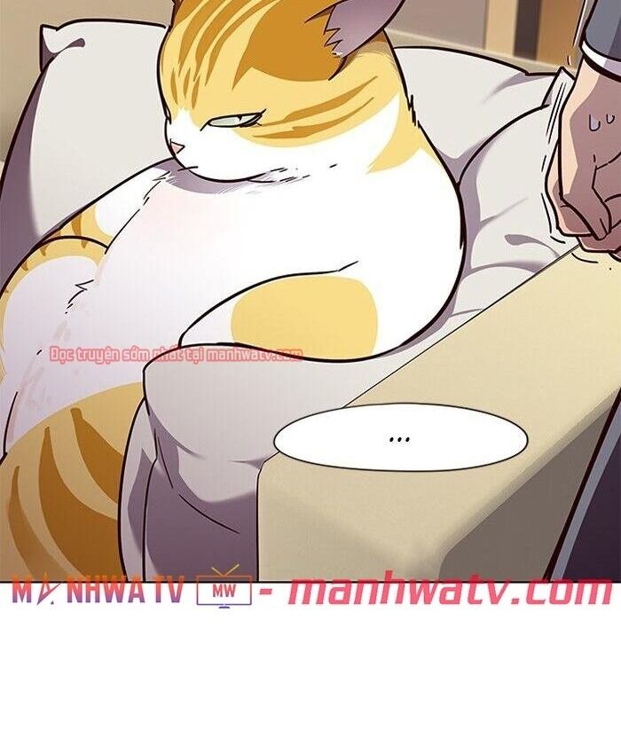 Hoá Thân Thành Mèo - Chapter 49 - Page 77