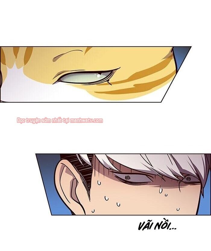 Hoá Thân Thành Mèo - Chapter 49 - Page 78