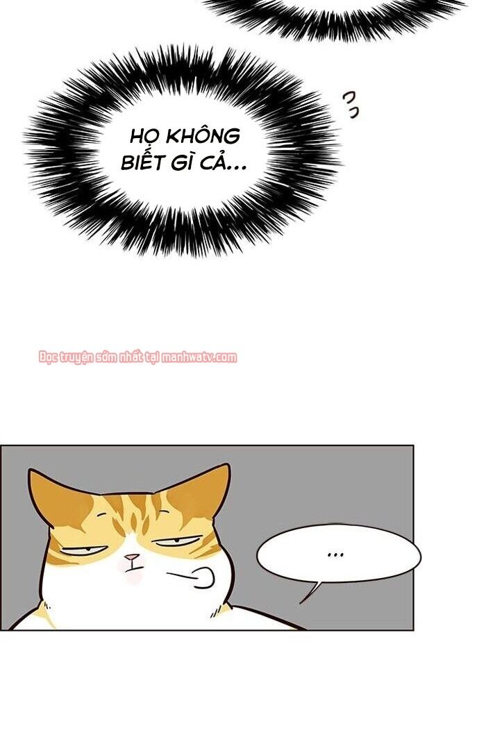 Hoá Thân Thành Mèo - Chapter 49 - Page 88
