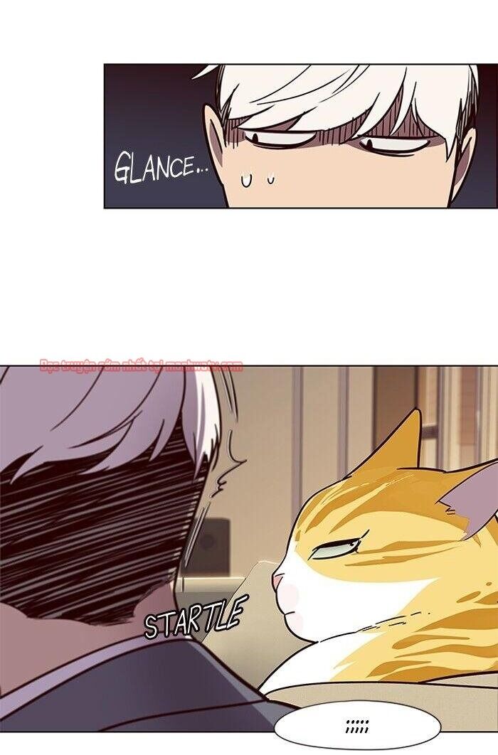 Hoá Thân Thành Mèo - Chapter 49 - Page 89