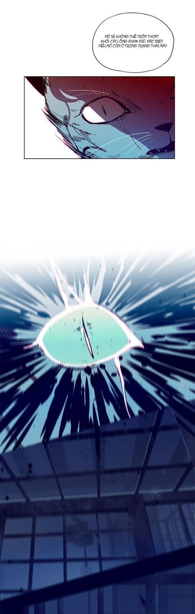 Hoá Thân Thành Mèo - Chapter 5 - Page 11