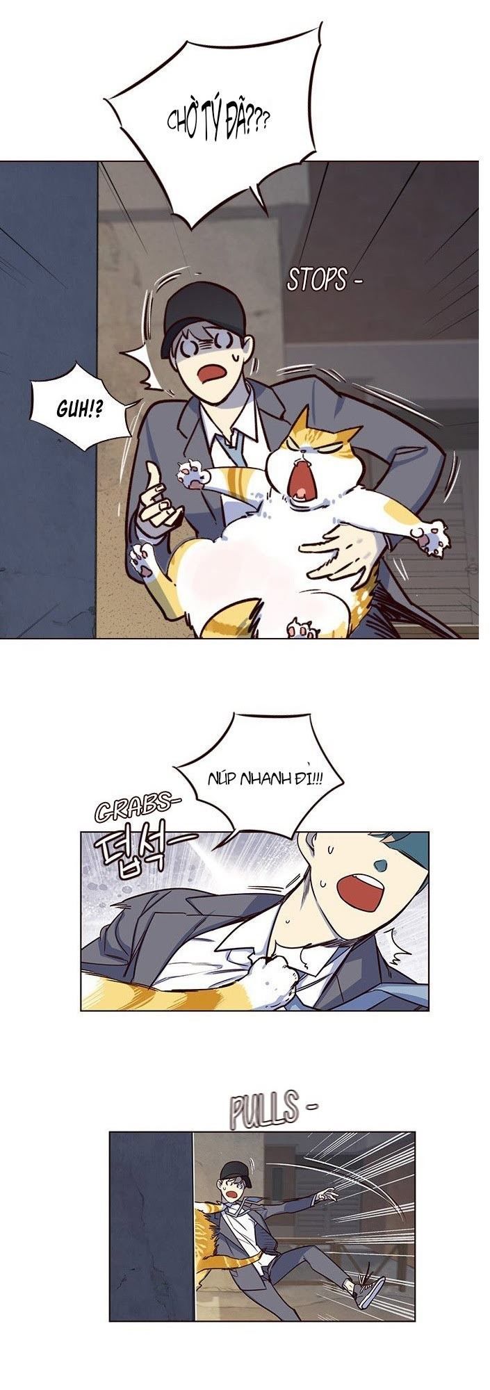 Hoá Thân Thành Mèo - Chapter 5 - Page 17