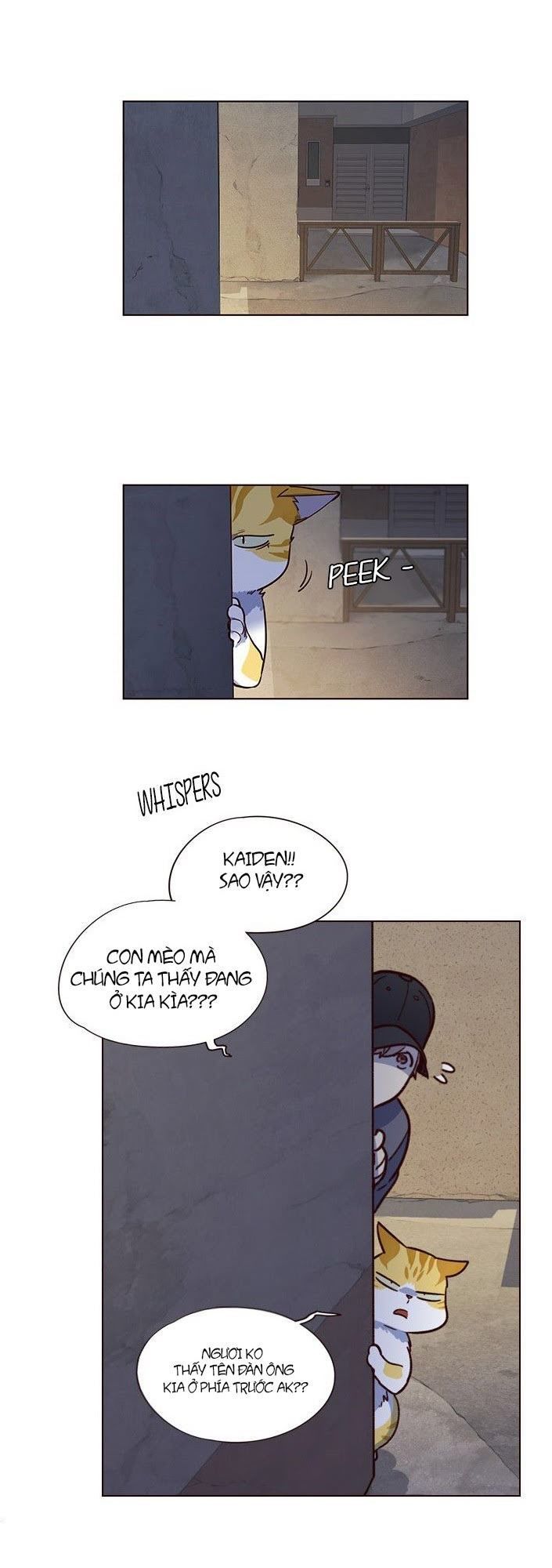 Hoá Thân Thành Mèo - Chapter 5 - Page 18