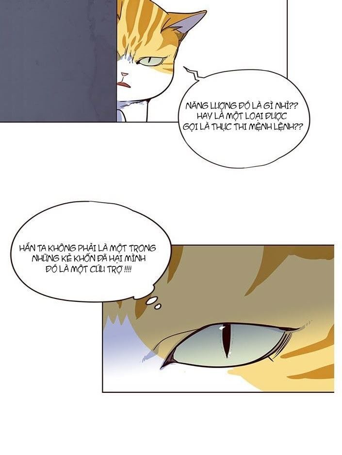 Hoá Thân Thành Mèo - Chapter 5 - Page 20