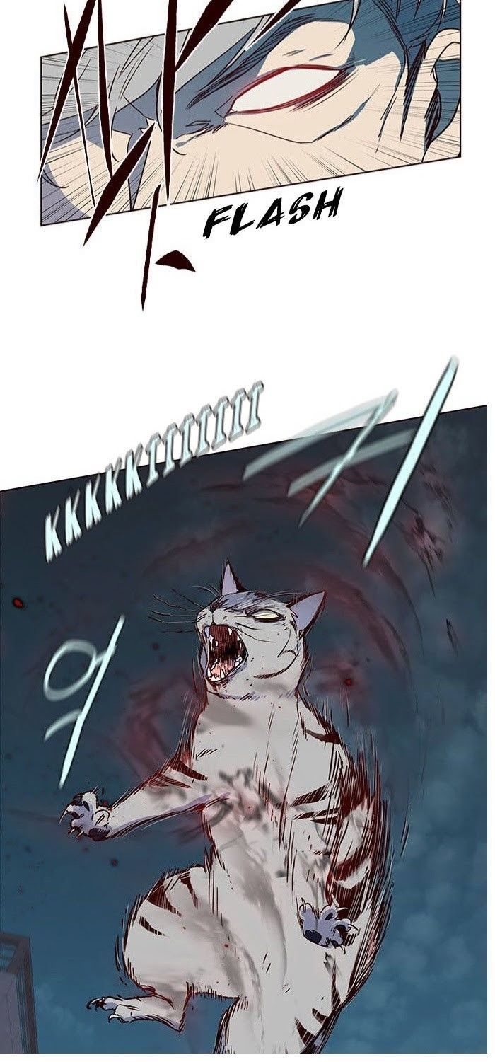 Hoá Thân Thành Mèo - Chapter 5 - Page 24