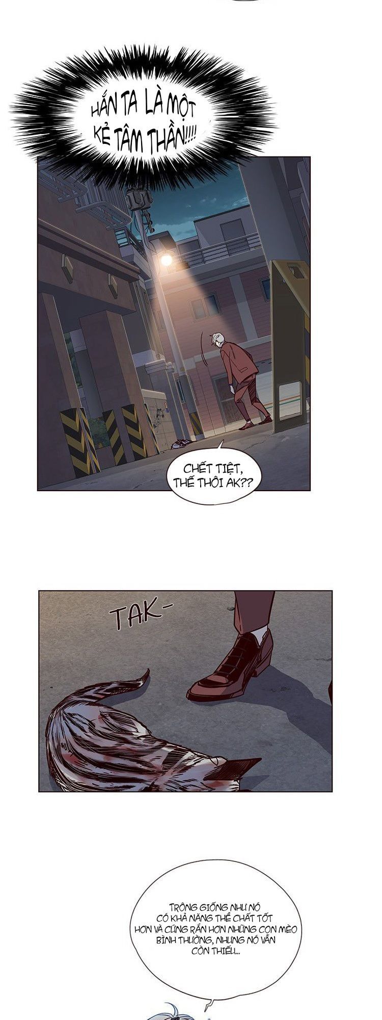 Hoá Thân Thành Mèo - Chapter 5 - Page 29