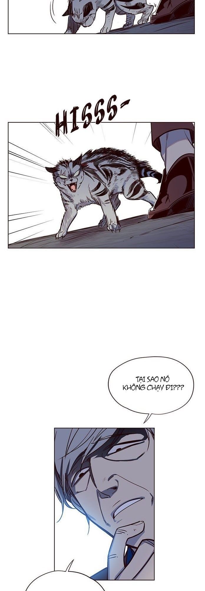 Hoá Thân Thành Mèo - Chapter 5 - Page 37