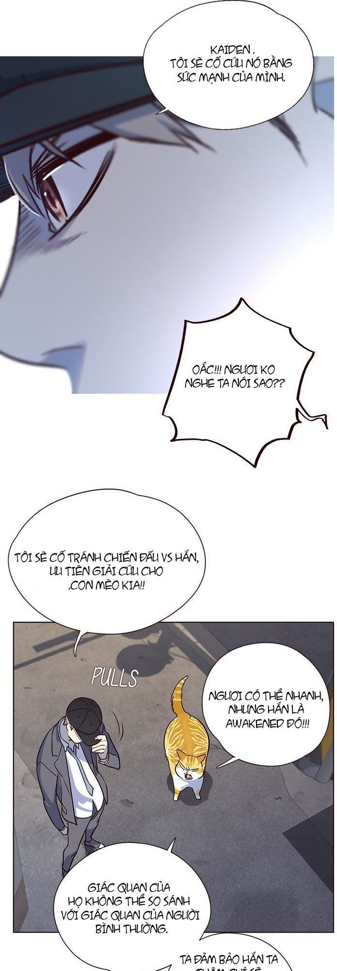 Hoá Thân Thành Mèo - Chapter 5 - Page 43