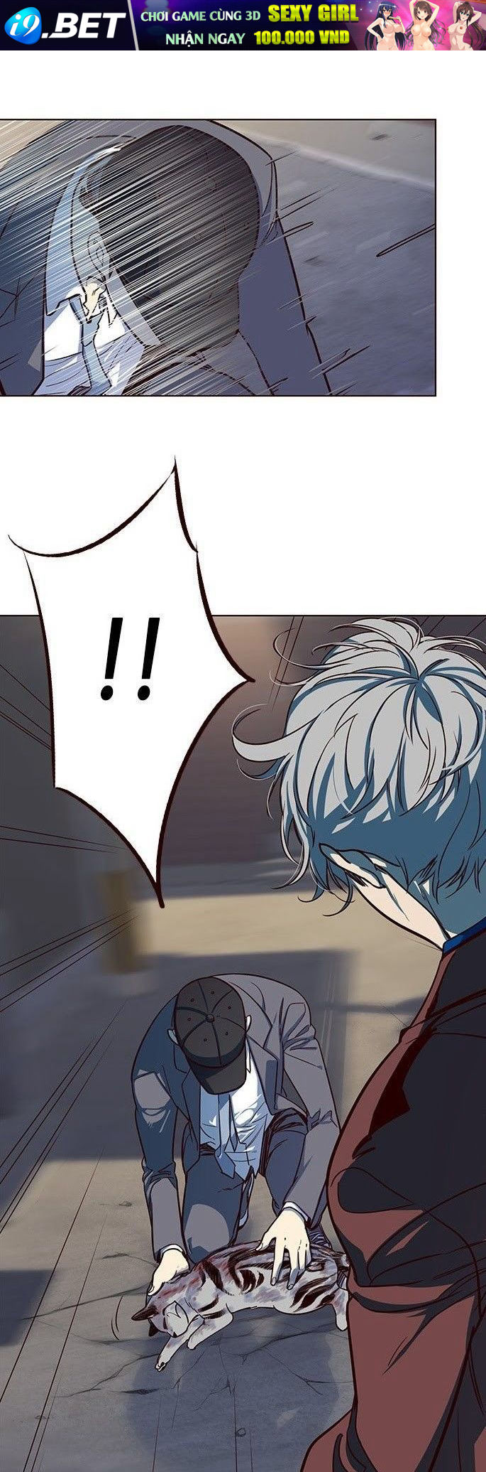 Hoá Thân Thành Mèo - Chapter 5 - Page 50