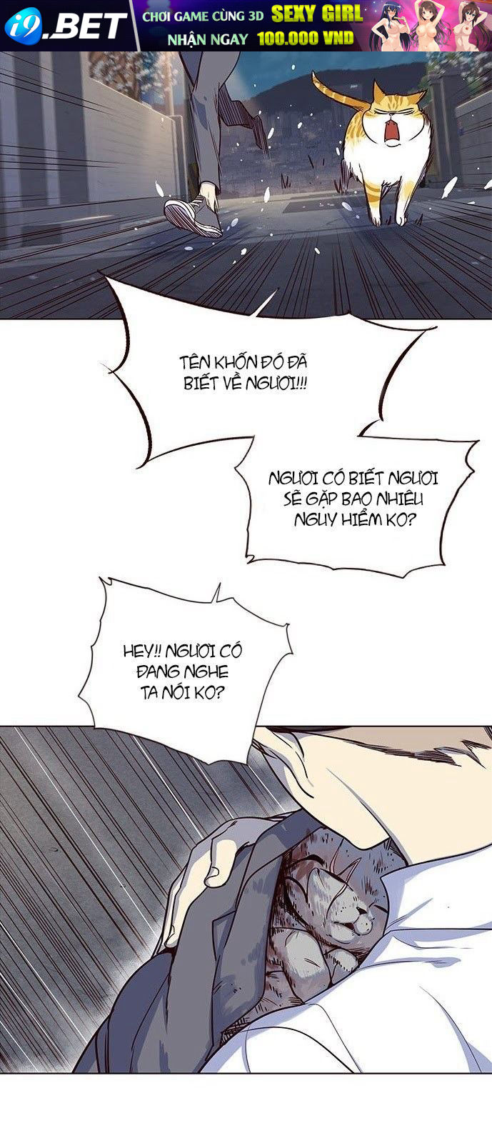 Hoá Thân Thành Mèo - Chapter 5 - Page 57