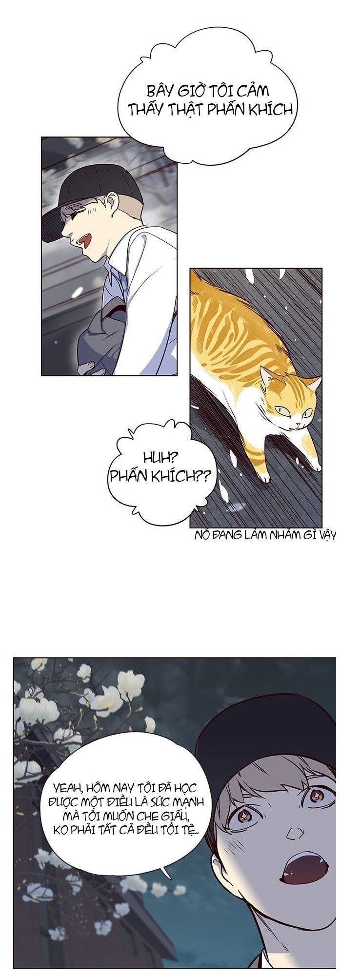 Hoá Thân Thành Mèo - Chapter 5 - Page 62