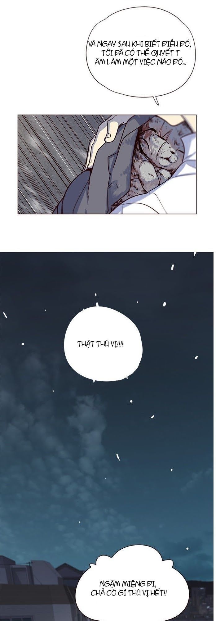 Hoá Thân Thành Mèo - Chapter 5 - Page 63