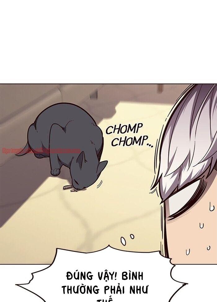 Hoá Thân Thành Mèo - Chapter 50 - Page 11
