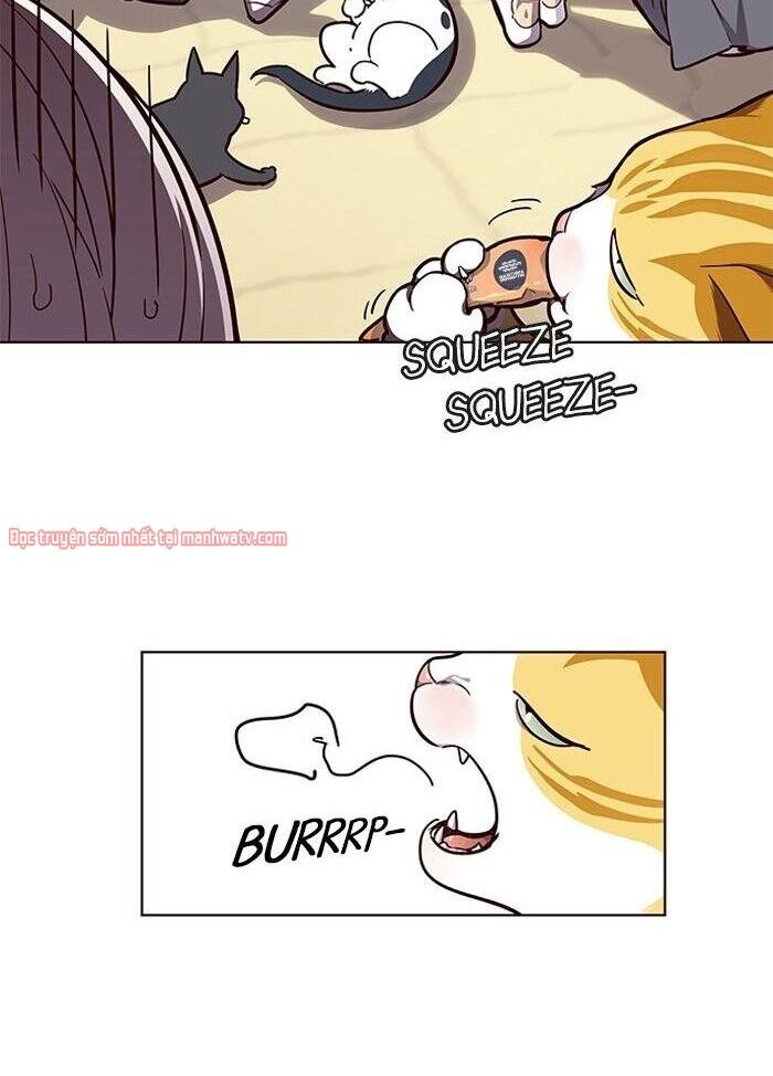 Hoá Thân Thành Mèo - Chapter 50 - Page 13