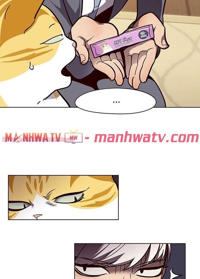 Hoá Thân Thành Mèo - Chapter 50 - Page 15