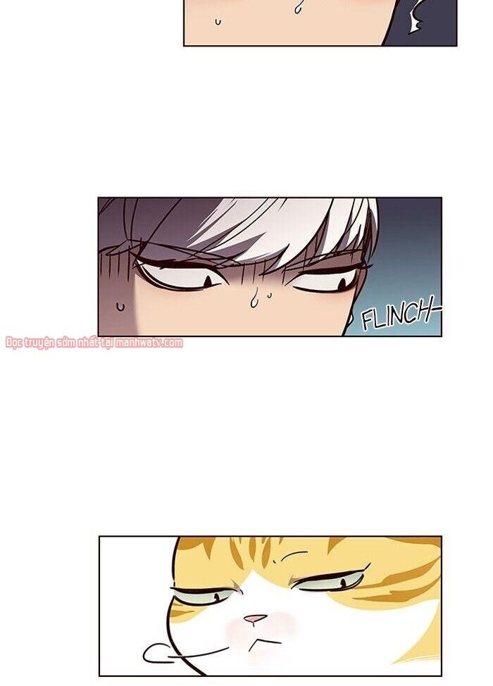 Hoá Thân Thành Mèo - Chapter 50 - Page 16