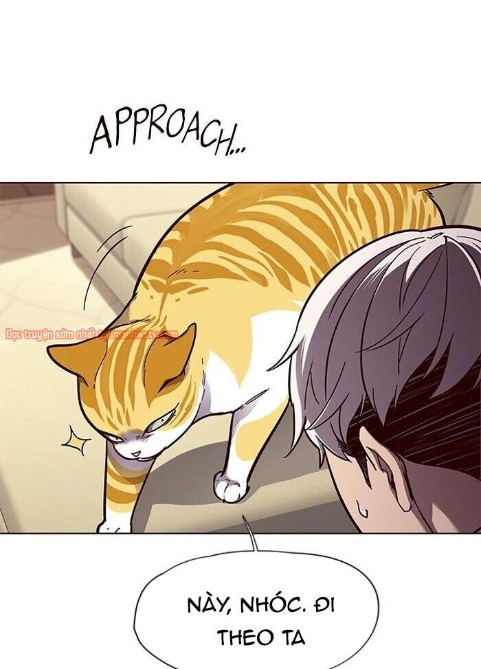 Hoá Thân Thành Mèo - Chapter 50 - Page 17