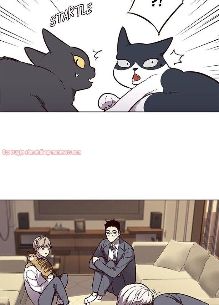 Hoá Thân Thành Mèo - Chapter 50 - Page 19