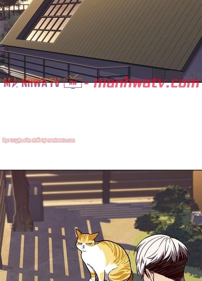 Hoá Thân Thành Mèo - Chapter 50 - Page 24