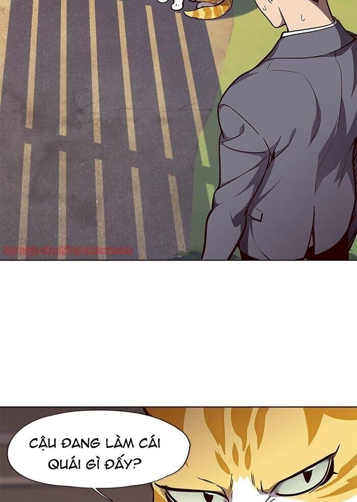 Hoá Thân Thành Mèo - Chapter 50 - Page 25