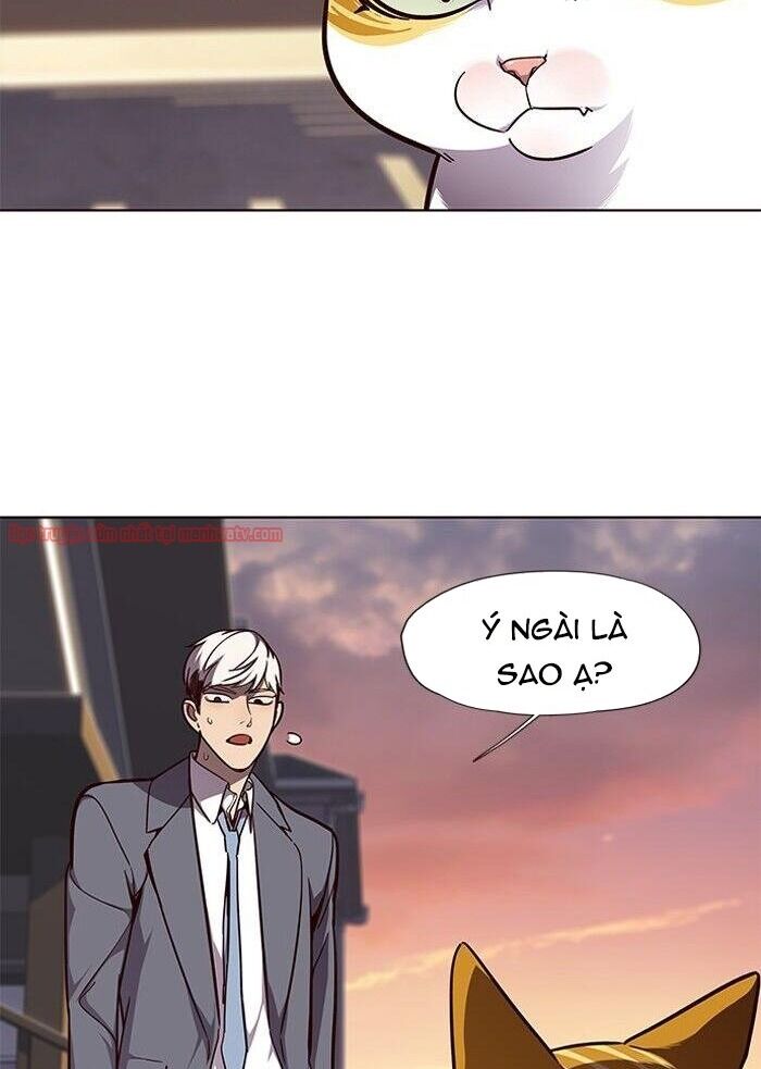 Hoá Thân Thành Mèo - Chapter 50 - Page 26