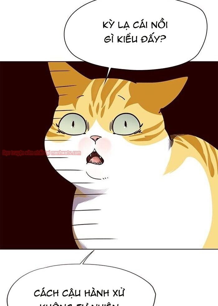 Hoá Thân Thành Mèo - Chapter 50 - Page 29