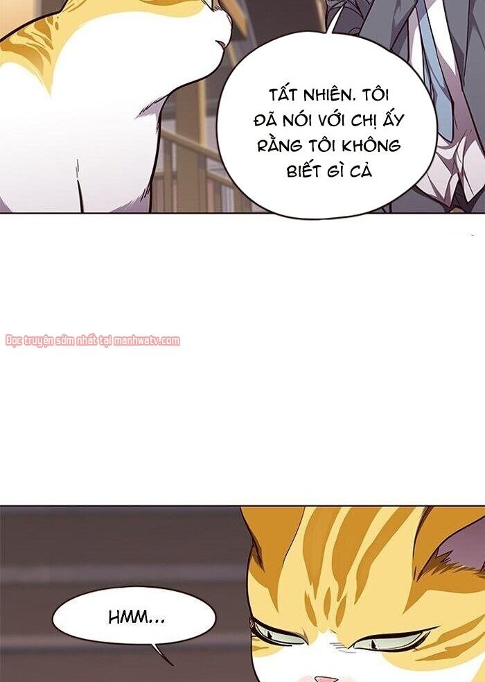 Hoá Thân Thành Mèo - Chapter 50 - Page 34