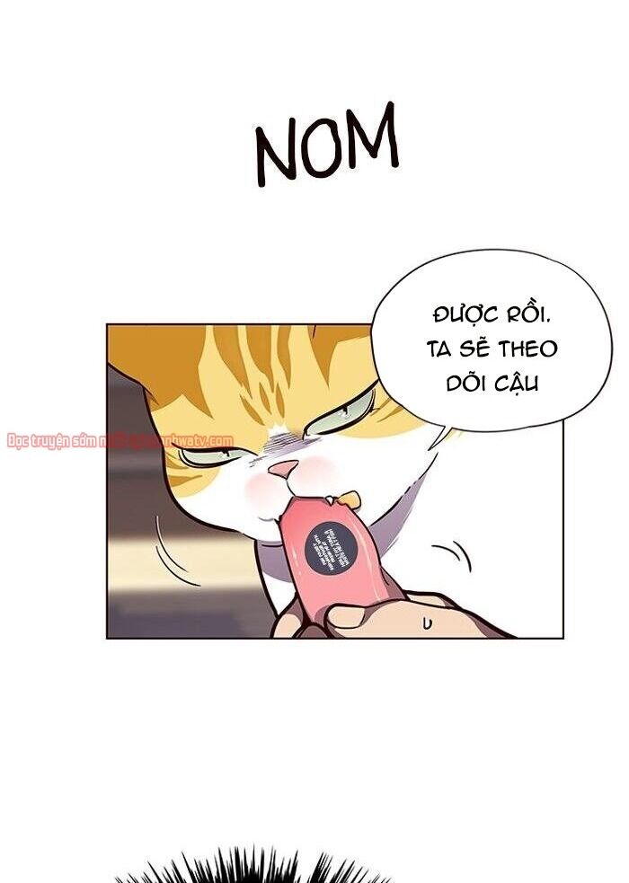 Hoá Thân Thành Mèo - Chapter 50 - Page 38