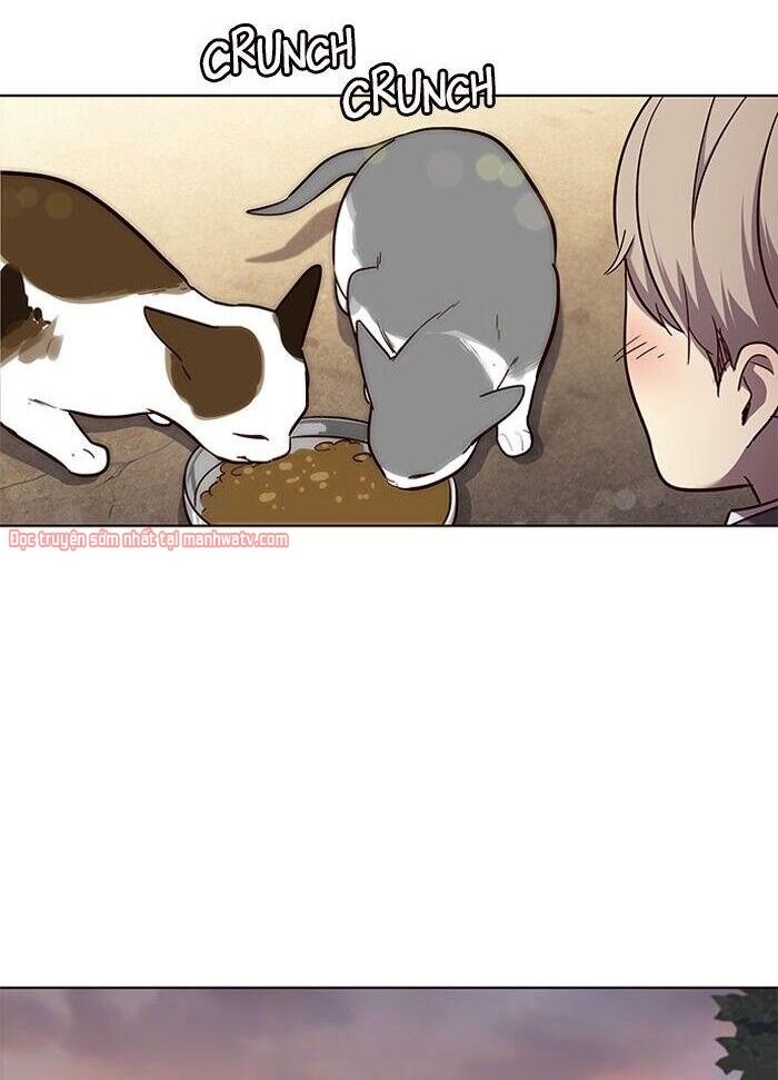 Hoá Thân Thành Mèo - Chapter 50 - Page 50