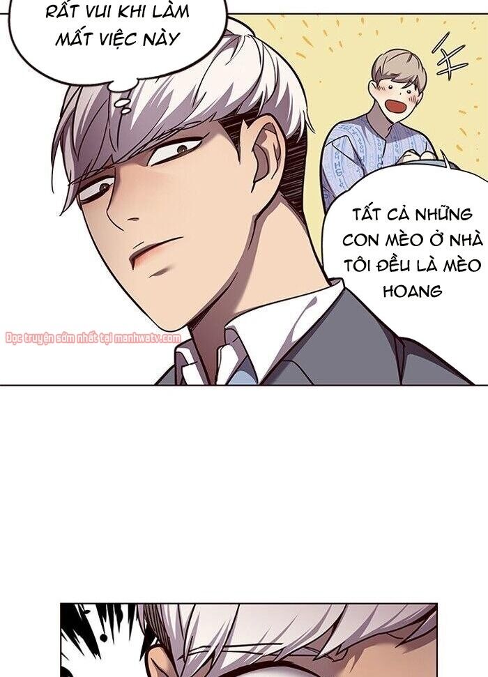 Hoá Thân Thành Mèo - Chapter 50 - Page 52