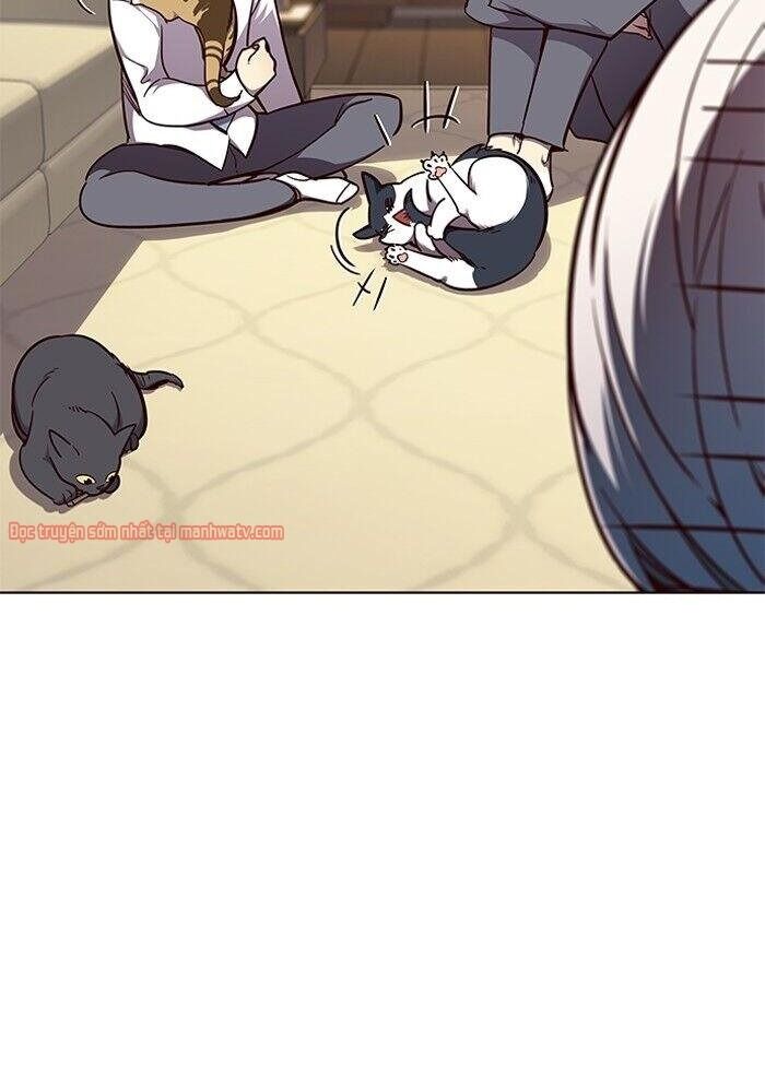 Hoá Thân Thành Mèo - Chapter 50 - Page 6