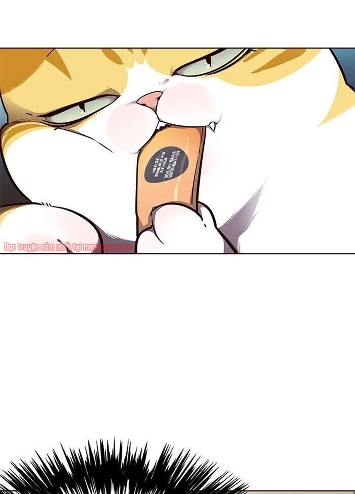 Hoá Thân Thành Mèo - Chapter 50 - Page 8