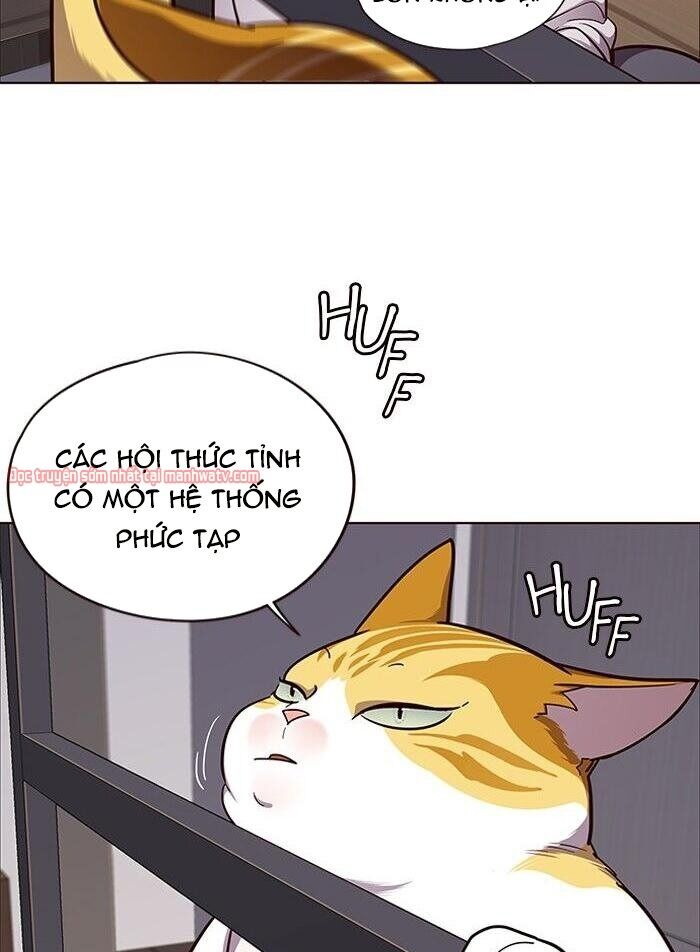 Hoá Thân Thành Mèo - Chapter 51 - Page 13