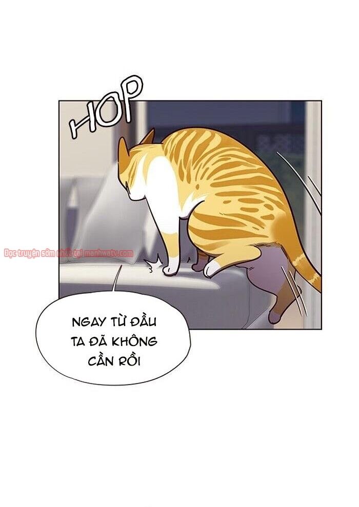 Hoá Thân Thành Mèo - Chapter 51 - Page 29