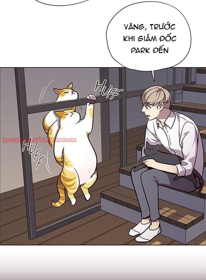 Hoá Thân Thành Mèo - Chapter 51 - Page 4