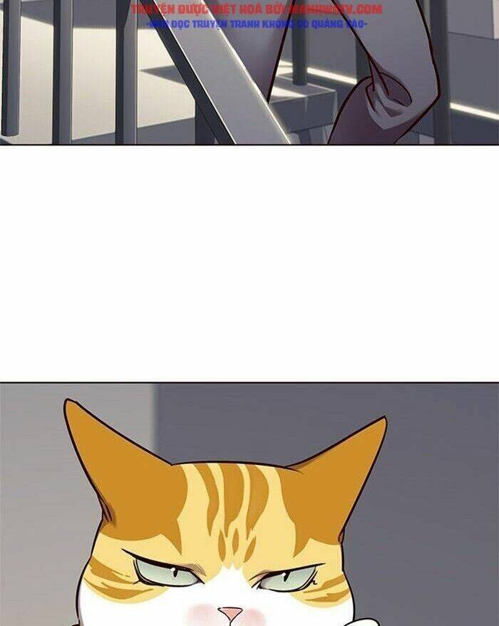 Hoá Thân Thành Mèo - Chapter 52 - Page 36
