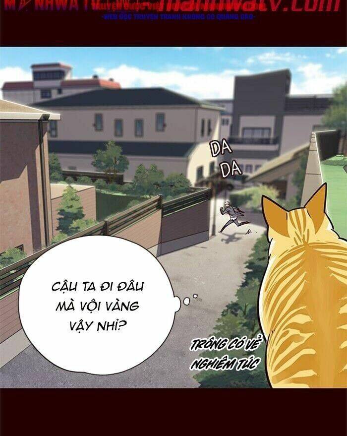 Hoá Thân Thành Mèo - Chapter 52 - Page 46