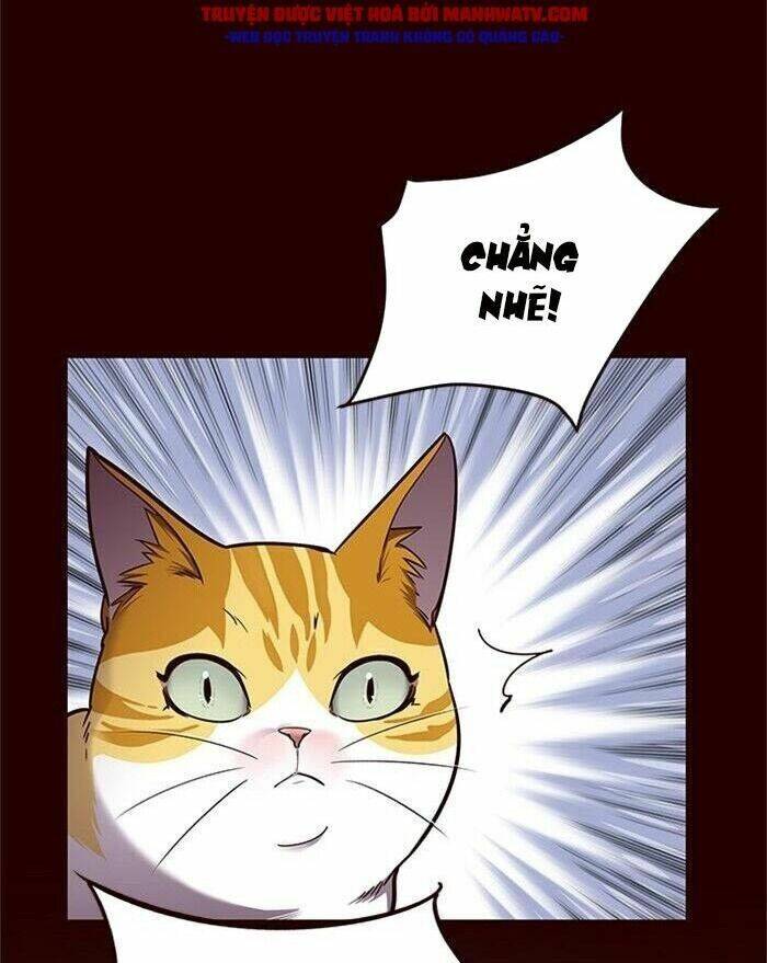 Hoá Thân Thành Mèo - Chapter 52 - Page 47