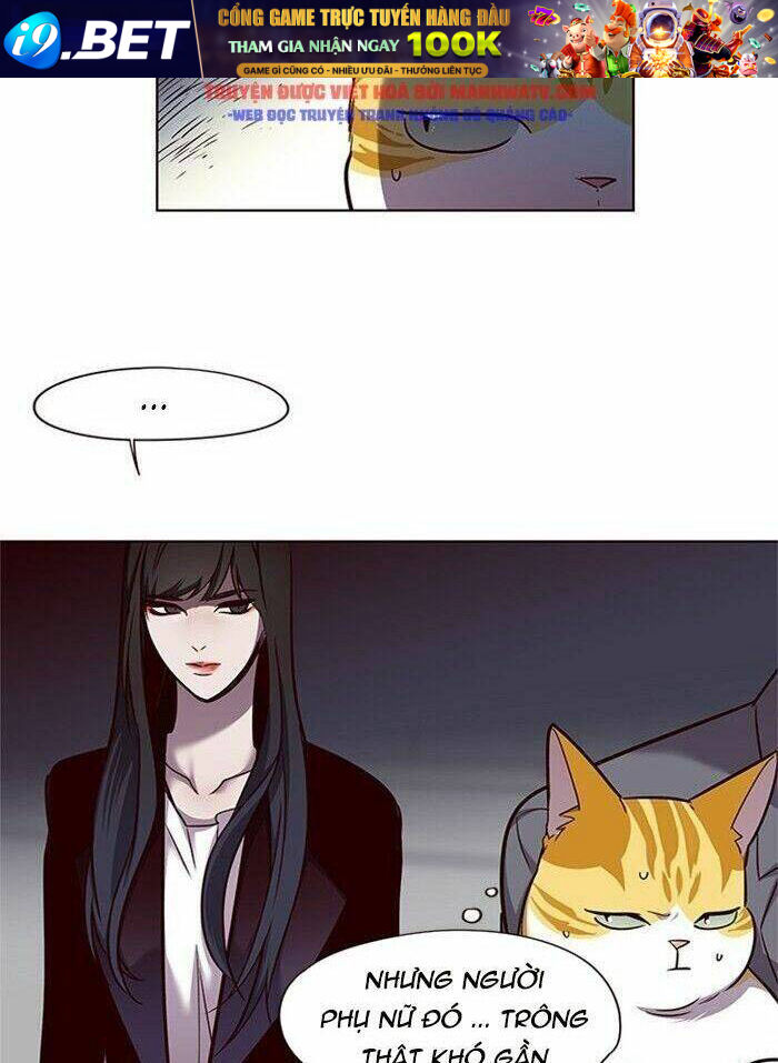 Hoá Thân Thành Mèo - Chapter 52 - Page 50