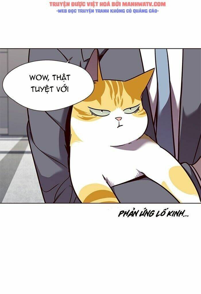 Hoá Thân Thành Mèo - Chapter 53 - Page 27