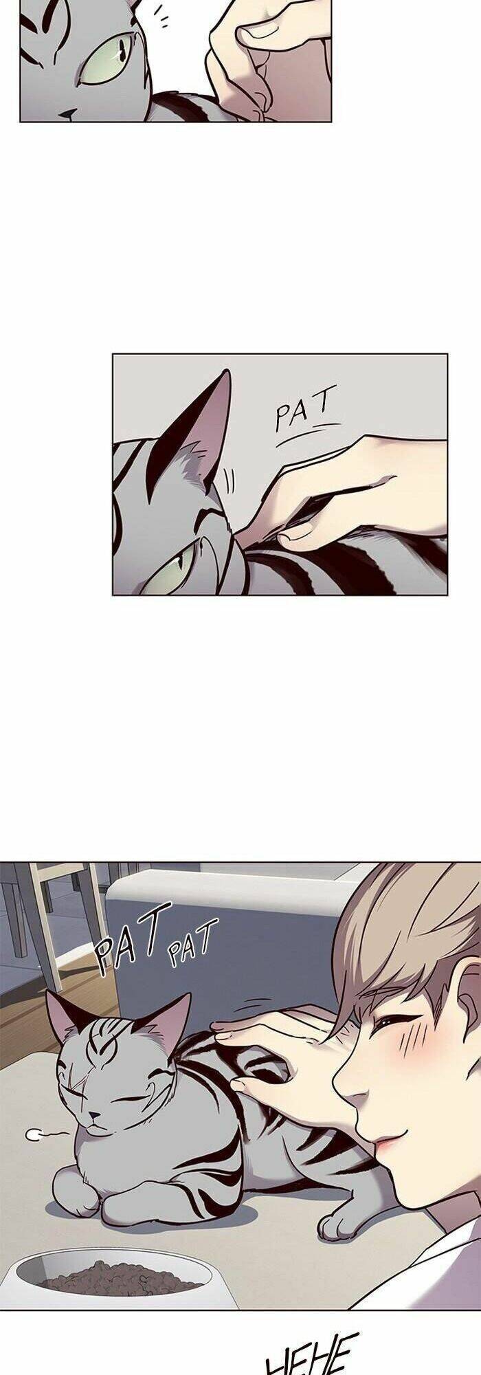 Hoá Thân Thành Mèo - Chapter 55 - Page 11